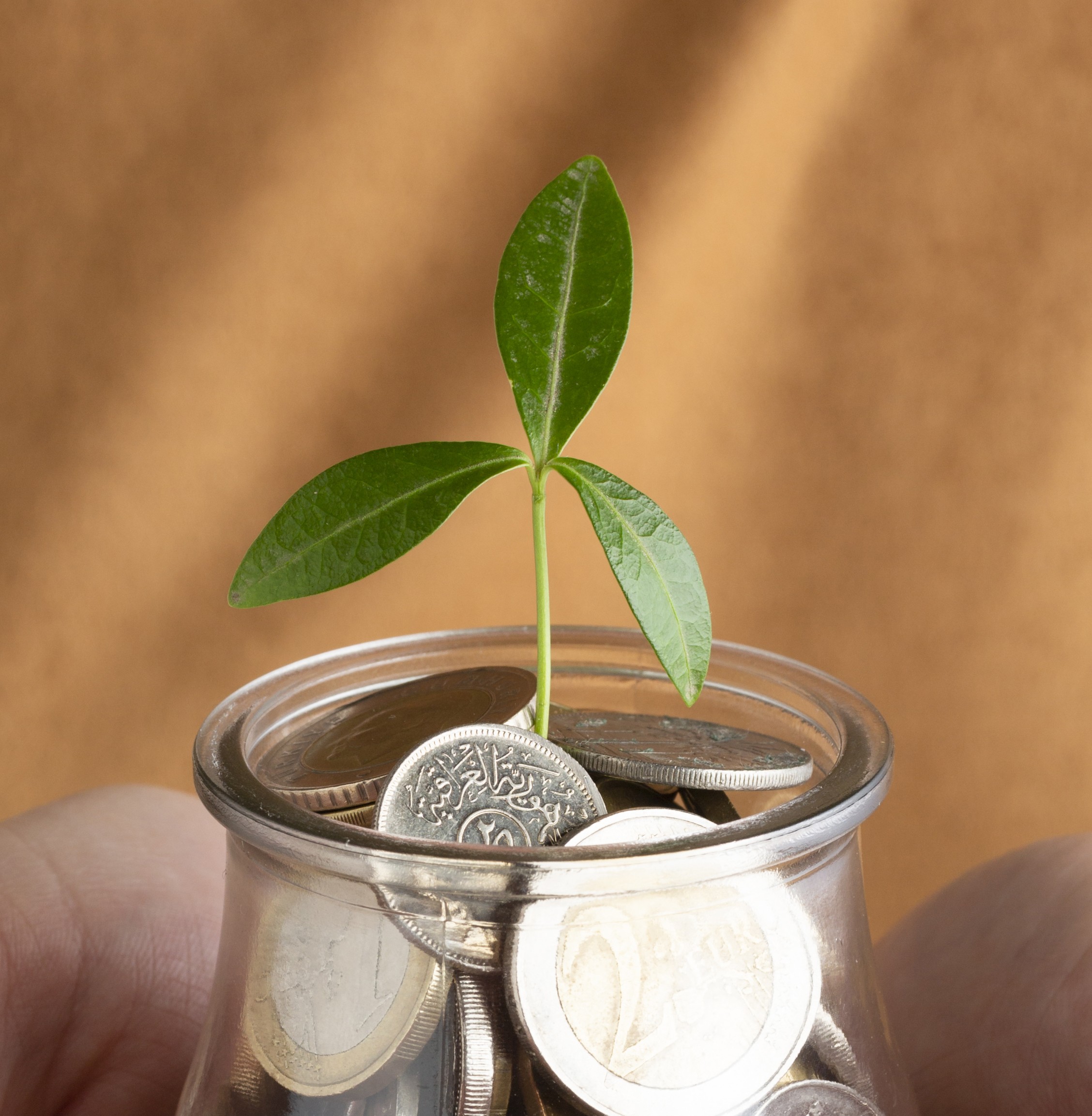 Kapsamlı Teminat Hizmeti